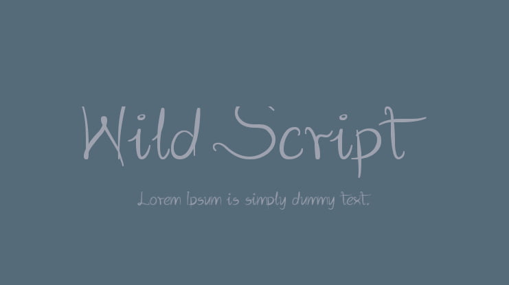 Wild Script Font