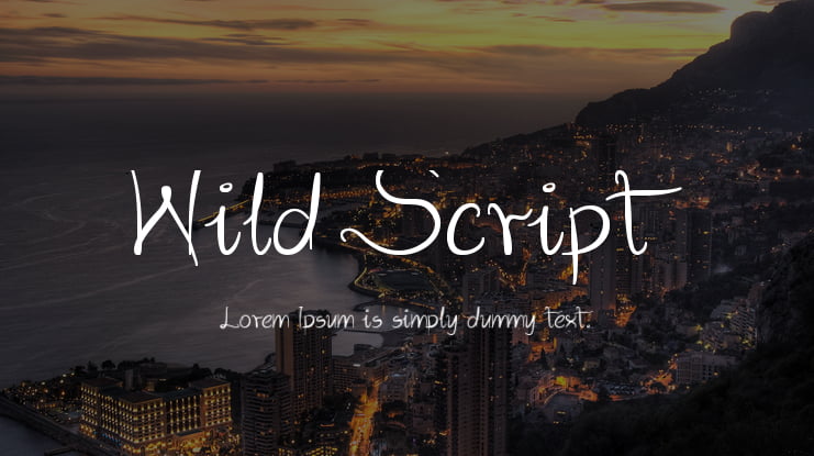 Wild Script Font