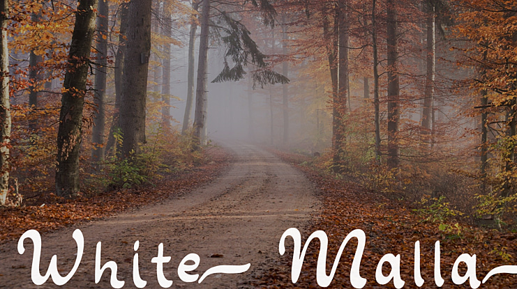White Malla Font