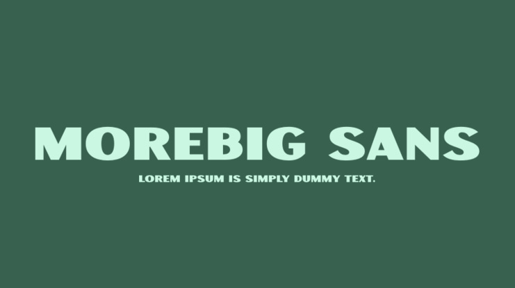 Morebig Sans Font