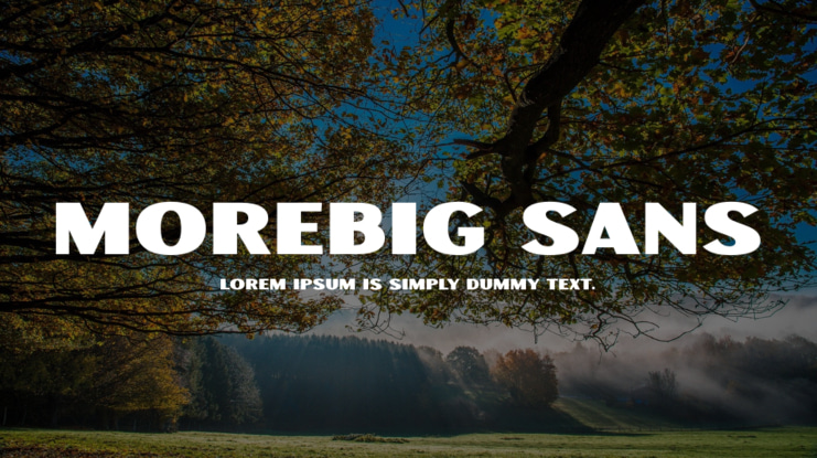 Morebig Sans Font
