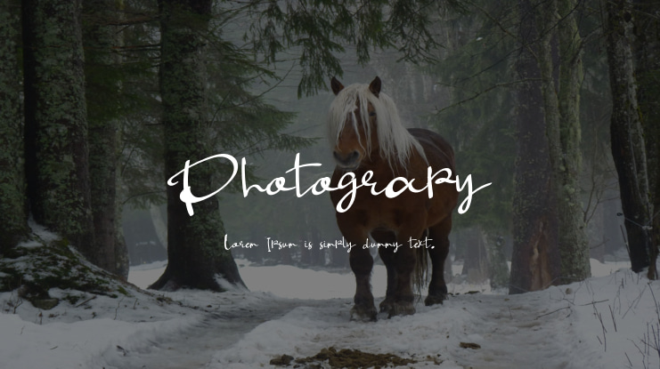 Photograpy Font