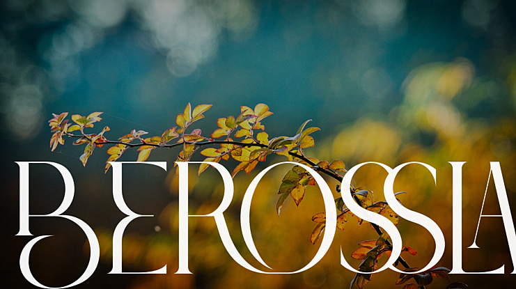 Berossla Font Family