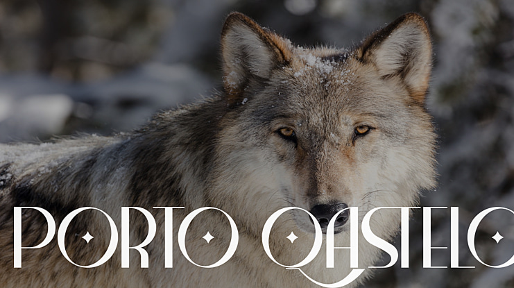Porto Qastelo Font Family