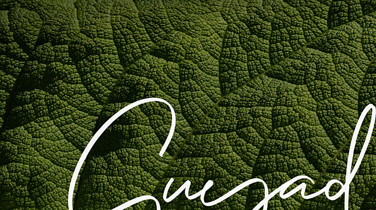Guyad Font