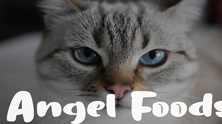 Angel Foods Font