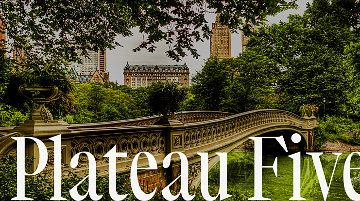 Plateau Five Font Family