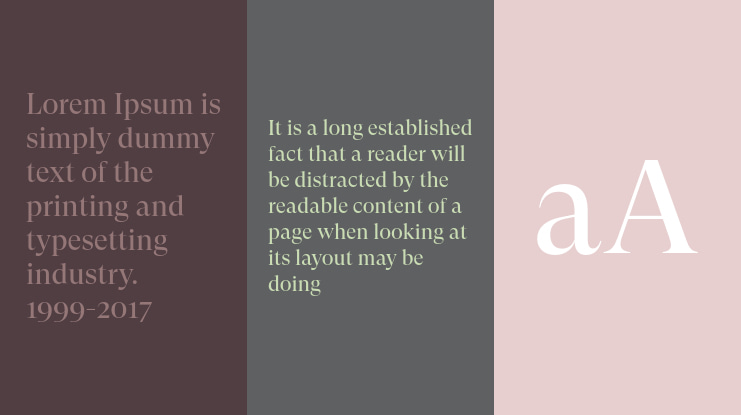 GT Super Ds Trial Font Family