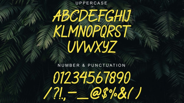 Borderland Font Family