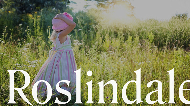 Roslindale Font Family