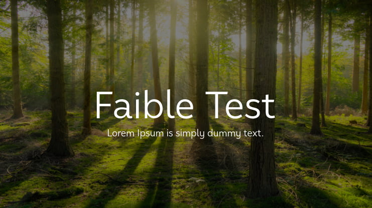 Faible Test Font Family