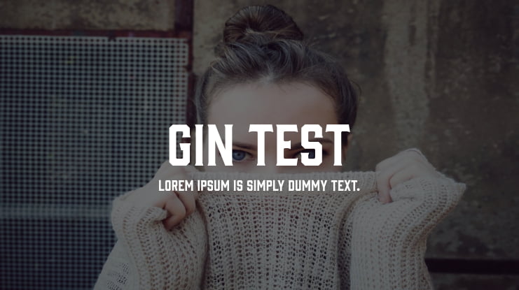 Gin Test Font Family