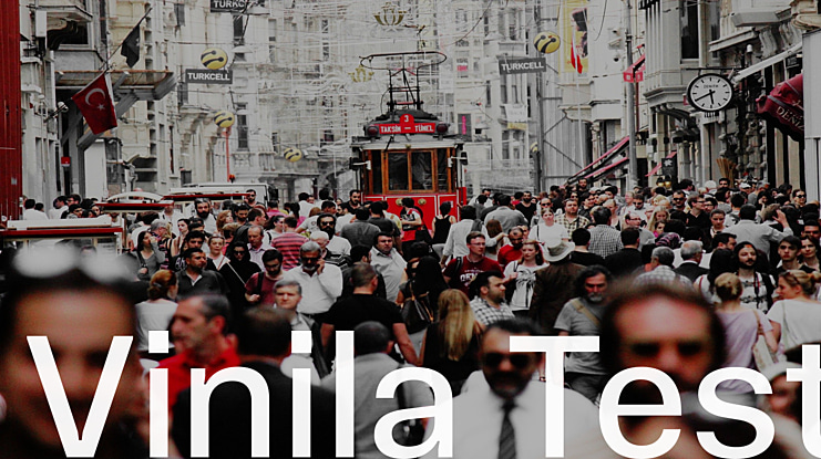 Vinila Test Font Family