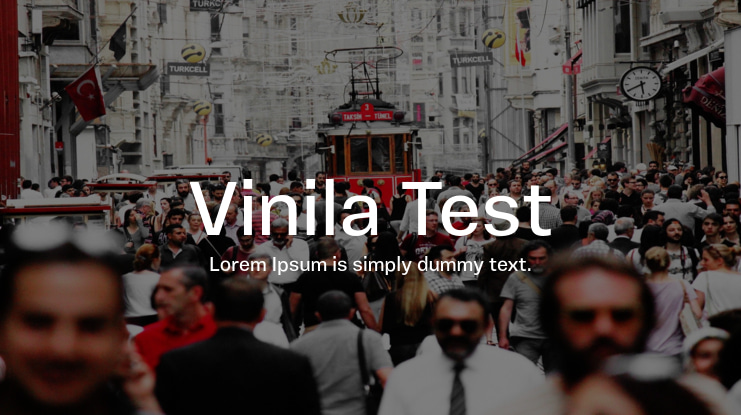Vinila Test Font Family