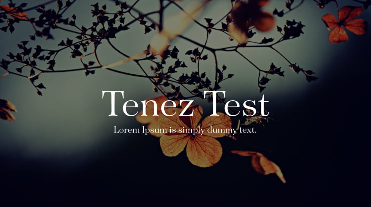 Tenez Test Font Family