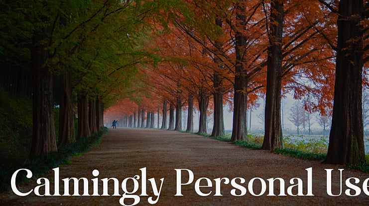 Calmingly Personal Use Font