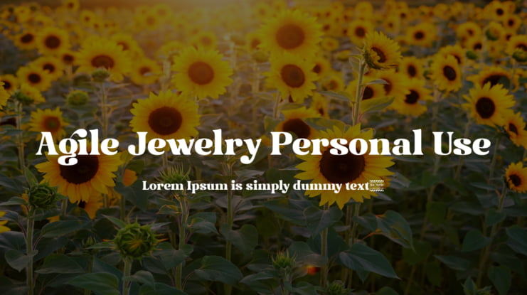 Agile Jewelry Personal Use Font
