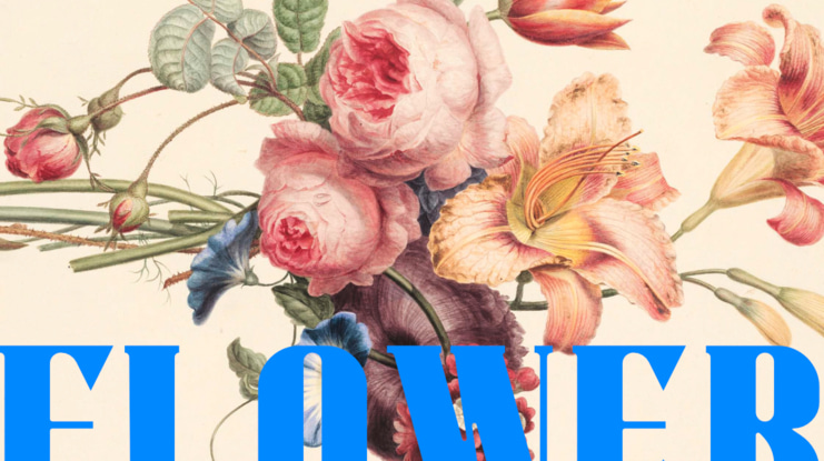 warriot pro Font Family