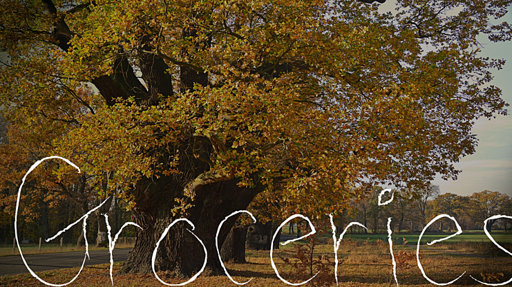 Groceries Font