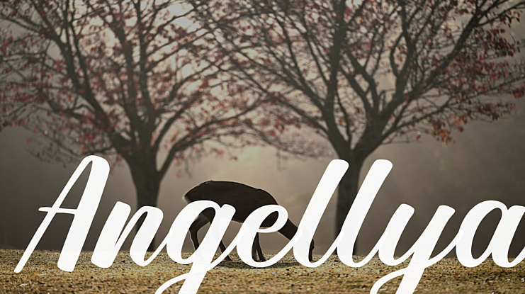 Angellya Font