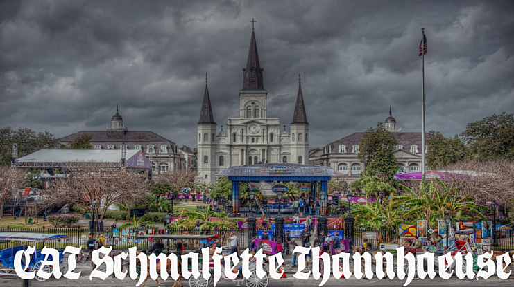 CAT Schmalfette Thannhaeuser Font