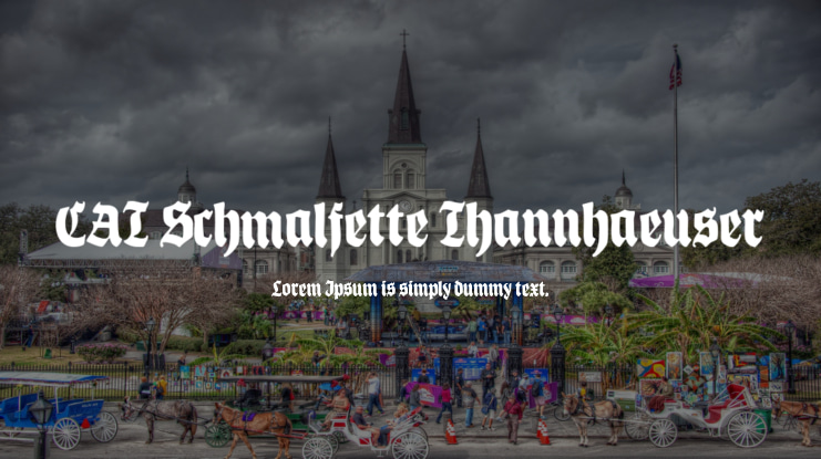 CAT Schmalfette Thannhaeuser Font