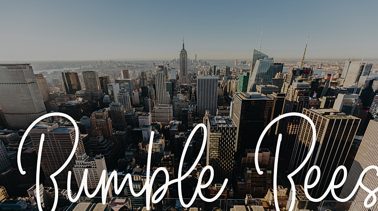 Bumble Bees Font
