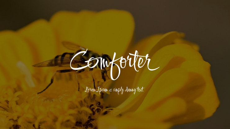 Comforter Font