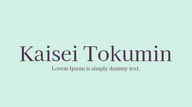 Kaisei Tokumin Font Family