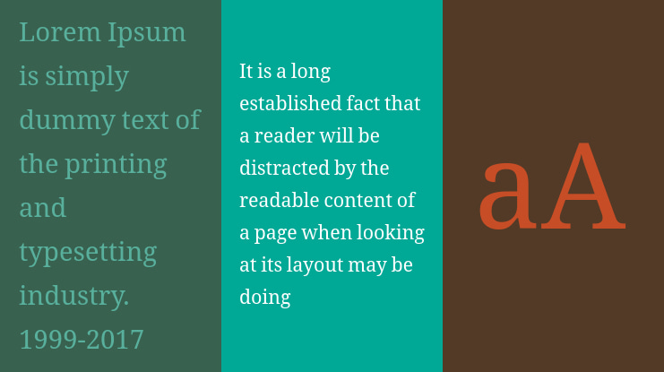 Noto Serif Ahom Font Family