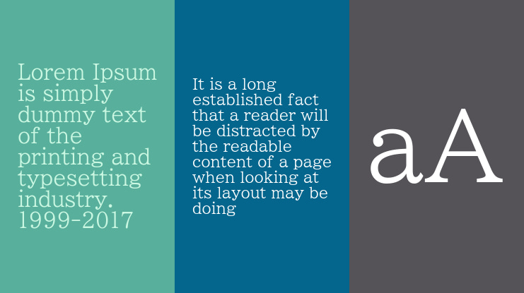 BIZ UDPMincho Font Family