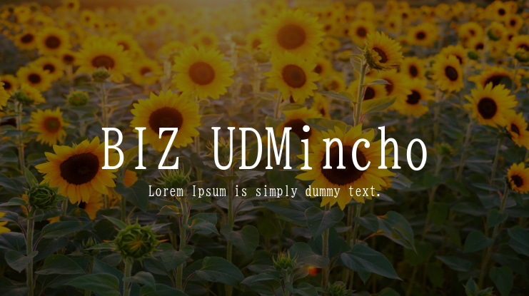 BIZ UDMincho Font Family