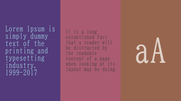 BIZ UDMincho Font Family