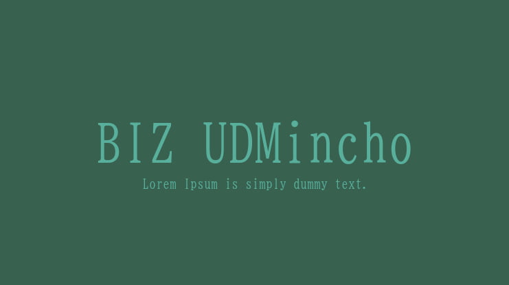 BIZ UDMincho Font Family