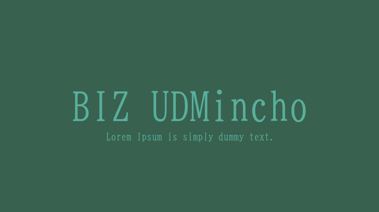 BIZ UDMincho Font Family