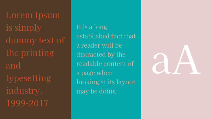 Kaisei Opti Font Family