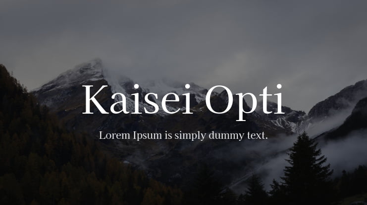 Kaisei Opti Font Family