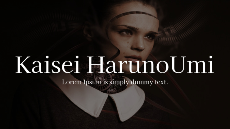 Kaisei HarunoUmi Font Family
