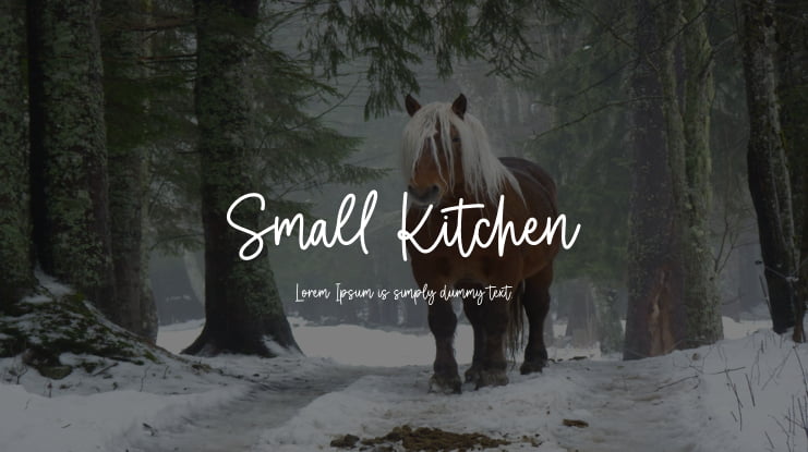 Small Kitchen Font