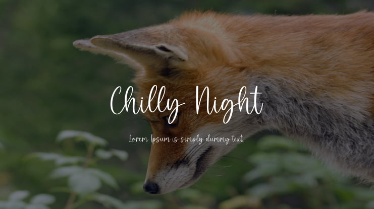 Chilly Night Font