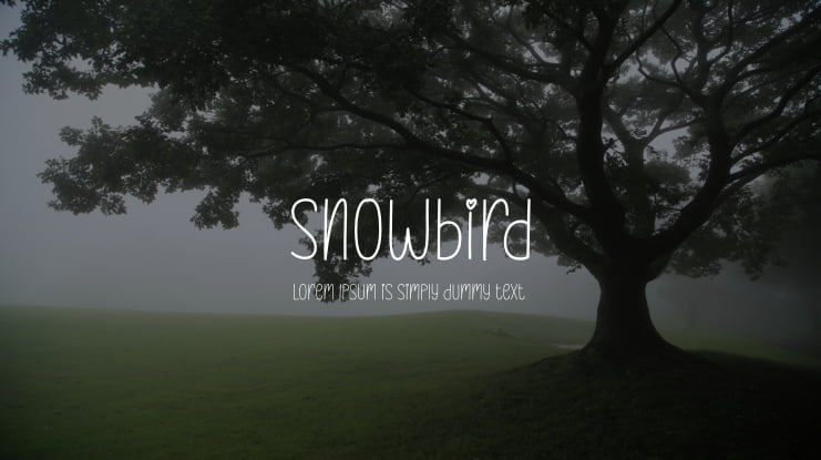 Snowbird Font