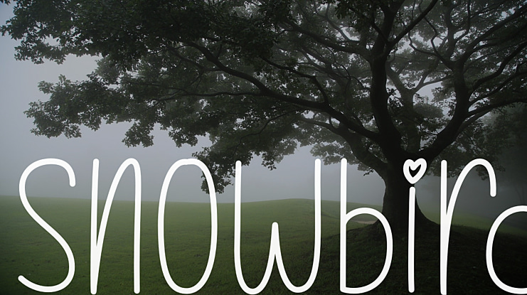 Snowbird Font