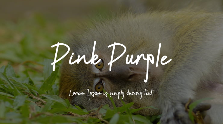 Pink Purple Font