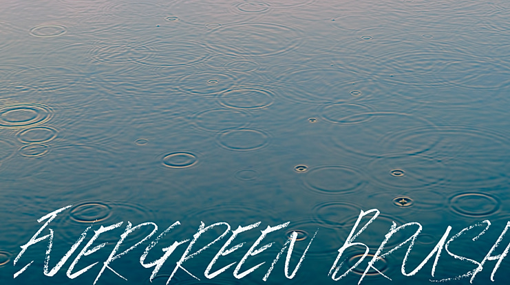 Evergreen Brush Font