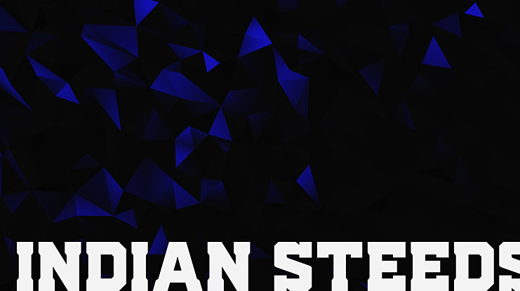 Indian Steeds Font Family
