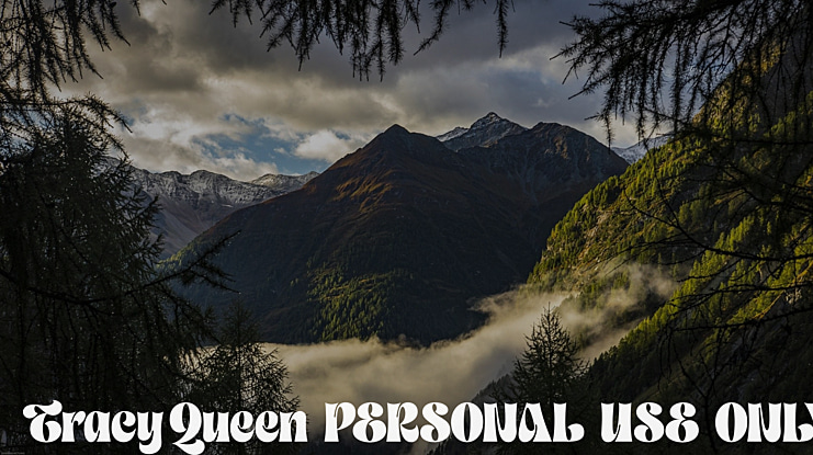 Tracy Queen PERSONAL USE ONLY Font