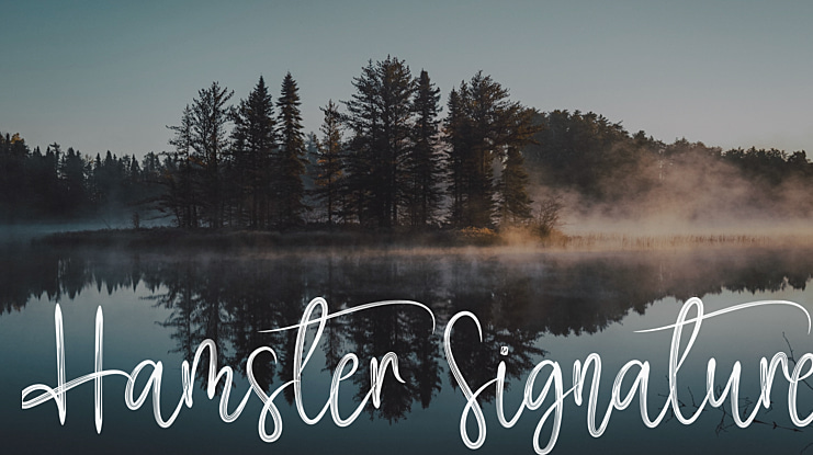 Hamster Signature Font