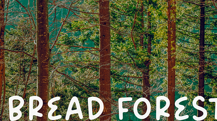 Bread Forest Font