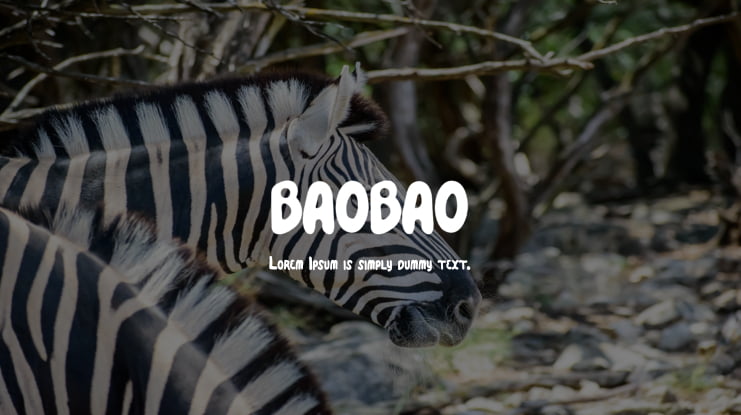 BAOBAO Font