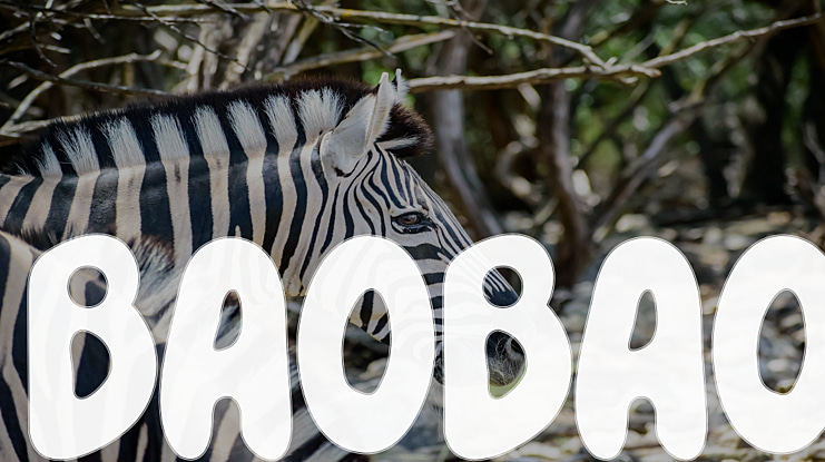 BAOBAO Font